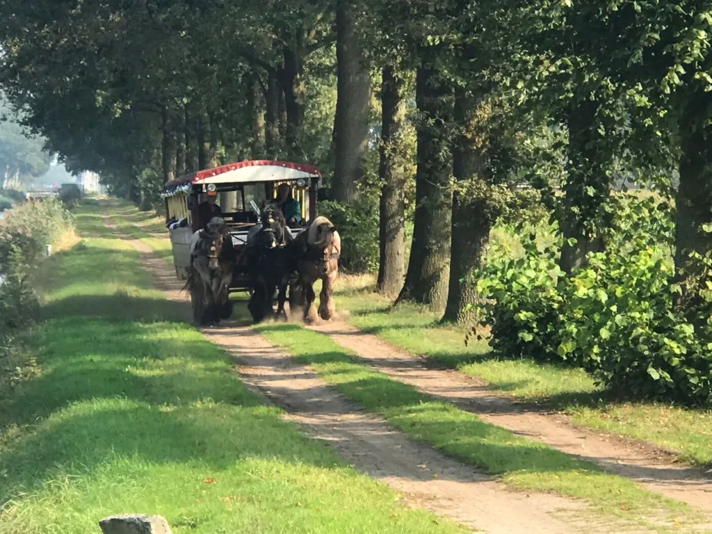 Paardentram geeft de Dedemsvaart haar eigen identiteit terug