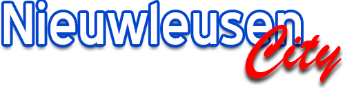Nieuwleusen City
