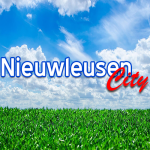 Nieuwleusen City