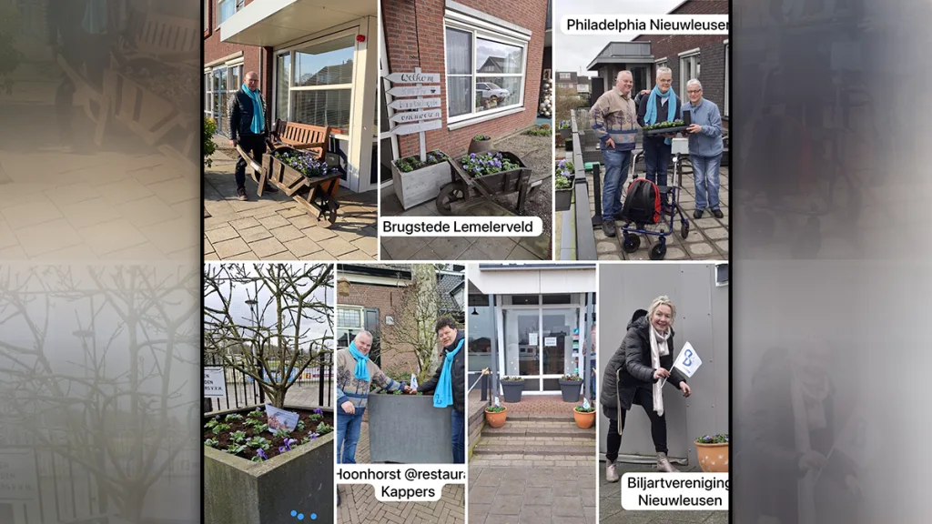 Blauwe viooltjes sieren Nieuwleusen dankzij Gemeentebelangen Blauwe viooltjes sieren Nieuwleusen dankzij Gemeentebelangen