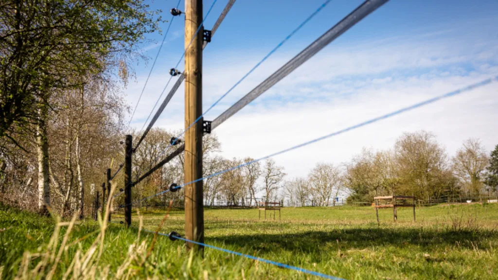 Weer subsidie voor wolfwerende maatregelen in Overijssel Weer subsidie voor wolfwerende maatregelen in Overijssel