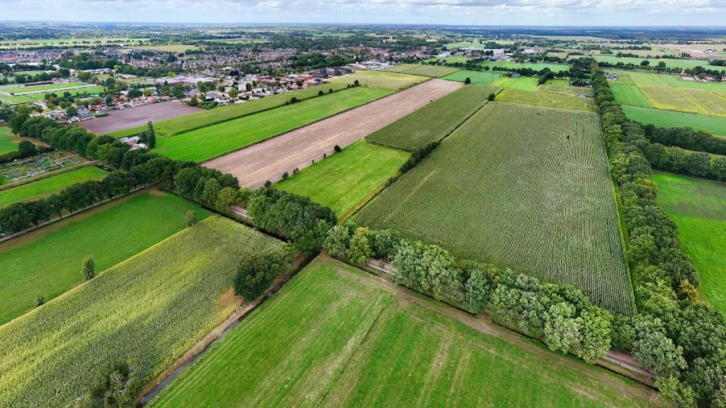 Infoavond nieuwbouwwijk Palthelanden Infoavond nieuwbouwwijk Palthelanden
